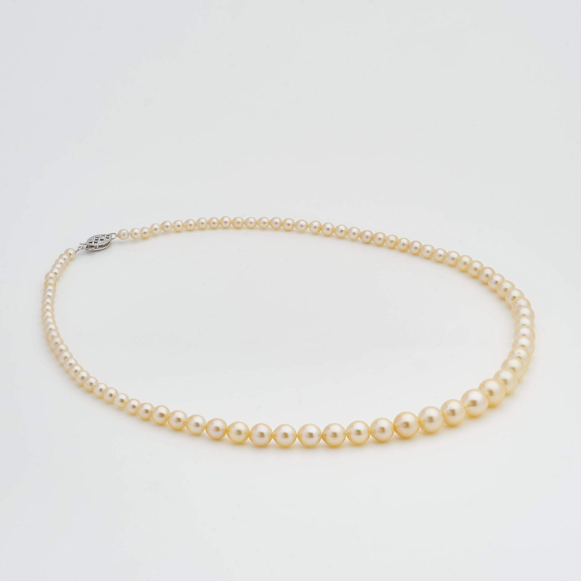 Haruka Akoya Pearl Necklace