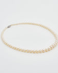 Haruko Akoya Pearl Necklace